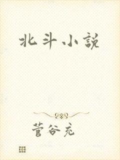 北斗小说封面