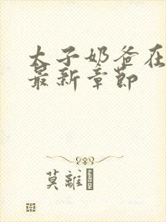 太子奶爸在花都最新章节封面