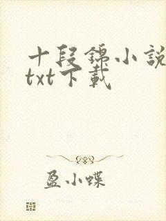 十段锦小说全本txt下载