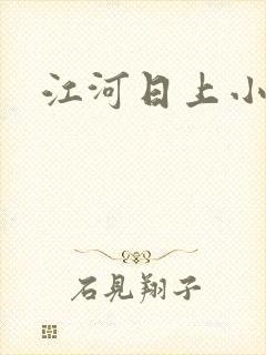 江河日上小说封面