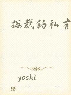 总裁的私有宝贝