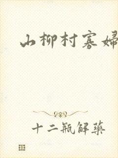 山柳村寡妇情史