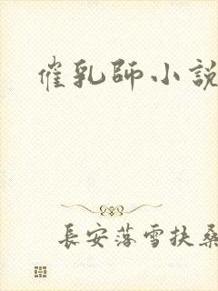 催乳师小说