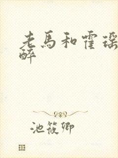 老马和霍瑶瑶喝醉封面