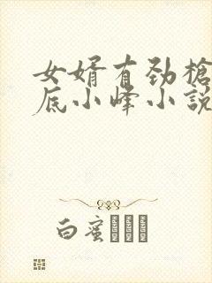 女婿有劲枪枪到底小峰小说