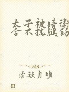 太子被暗卫c到合不拢腿的后果