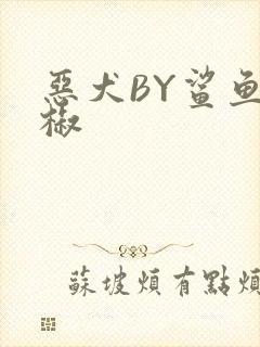 恶犬BY鲨鱼辣椒