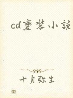 cd变装小说
