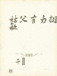 姑父有力挺送赵敏