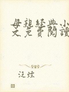 母亲经典小说全文免费阅读封面