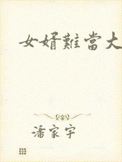 女婿难当大结局