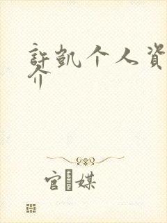 许凯个人资料简介封面