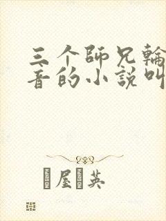 三个师兄轮流上音的小说叫什么封面