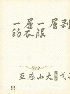 一层一层剥开我的衣服