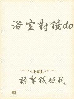 浴室对镜doi封面