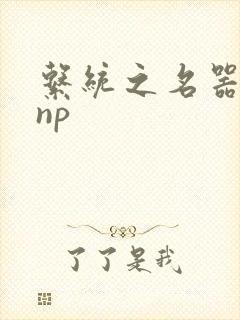 系统之名器攻略np