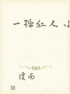 一号红人 小说