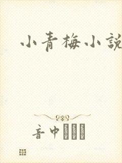 小青梅小说