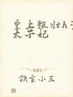 皇上粗壮h灌满太子妃