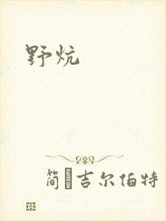野炕封面