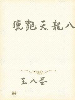 猎艳天龙八部封面