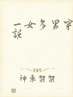 一女多男穿越小说