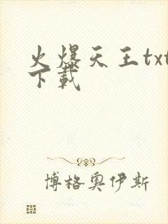 火爆天王txt下载