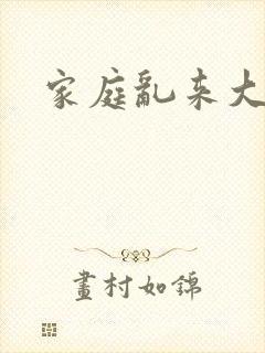 家庭乱来大杂烩封面