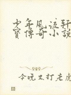 少年风流轩辕大宝传奇小说封面