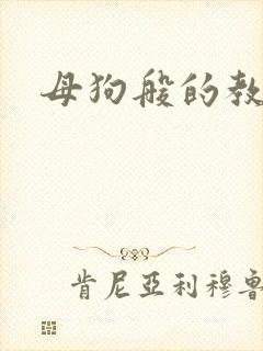 母狗般的教师封面