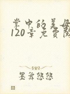 掌中的美母版主120章免费阅读