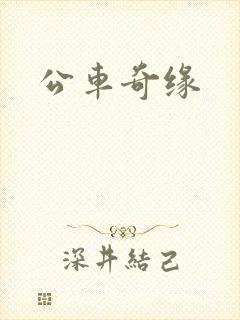 公车奇缘