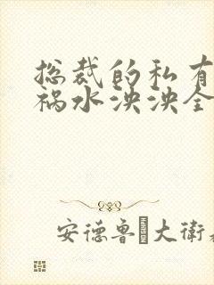 总裁的私有宝贝祸水泱泱全文阅读