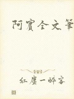 阿宾全文笔趣阁