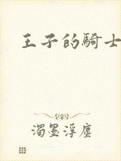王子的骑士小说封面