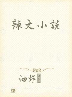 辣文小说