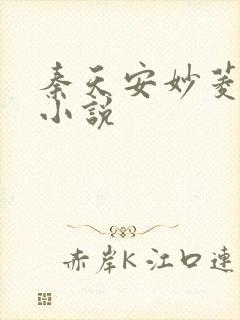 秦天安妙菱修仙小说