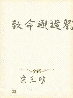 致命邂逅刘小寐