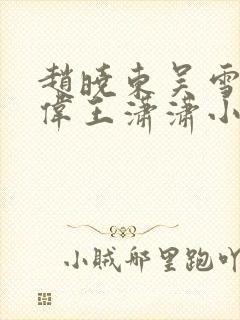 赵晓东吴雪晴郑伟王潇潇小说