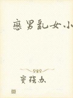 恋男乱女小说封面