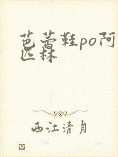 芭蕾鞋po阿司匹林封面