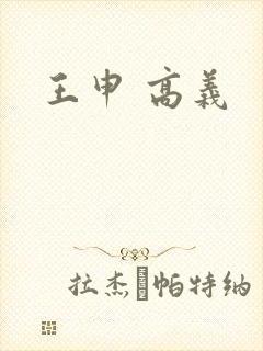 王申 高义封面