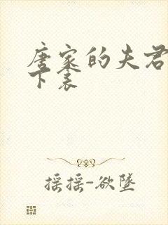 唐家的夫君们帘下衾