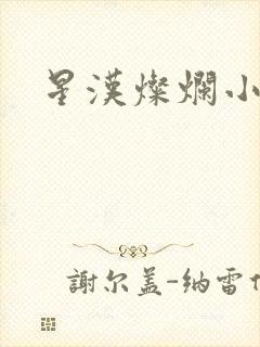 星汉灿烂小说封面