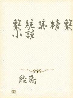 系统集精系统 小说