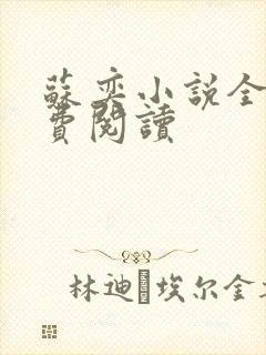 苏奕小说全文免费阅读封面