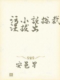 污小说总裁整夜没拔出