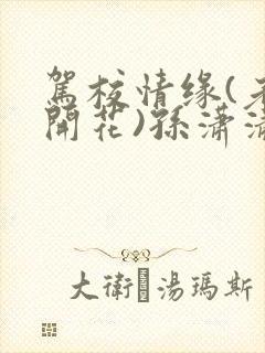 驾校情缘(老树开花)孙潇潇第一次趣笔阁