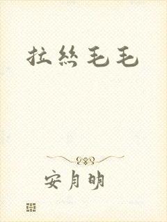 拉丝毛毛