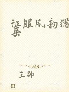 征服风韵犹存的岳封面